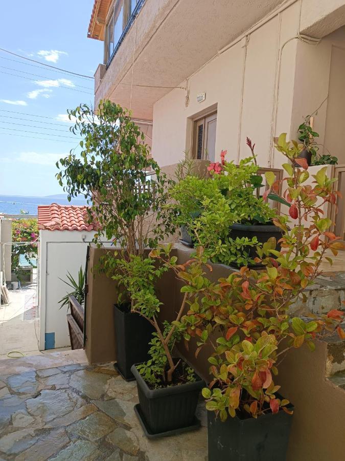 Buganvilla Sea View Apts Агия-Пелагия  Экстерьер фото
